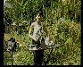 Still from Despite TV  5